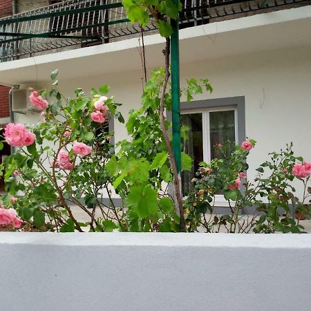 Apartmani Alma Skradin Kültér fotó